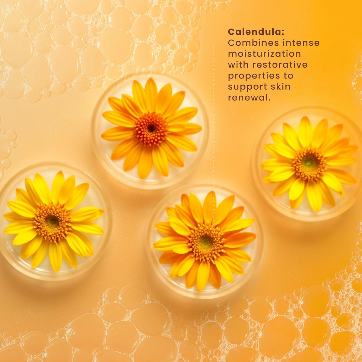 Pili Natural Calendula Soap Bars for Face and Body, for Dry or Cracked Skin, Gentle Cleanser for Men, Women and Teens (3 Pack)