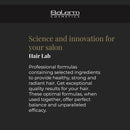 SALERM - Smoothing Hair Mask - Lisos Hair Lab - 1000 ml / 32.8 oz