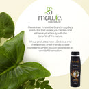 Isabely Rosmary Hair Leave In Conditioner Hair Strengthener 15.21oz