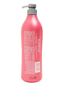 Recamier Professional Salon In +Pro Color Guard Hair Shampoo 33.8oz