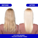 Naissant Professional Silver Grey - Cana Silver Matiz - Shampoo/Mask Bundle