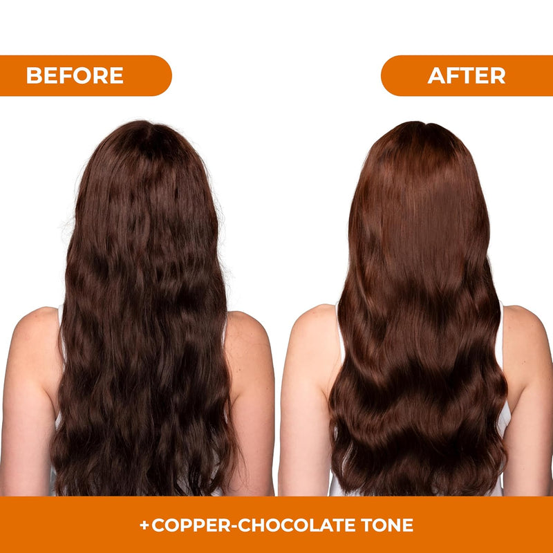 Naissant Cooper Chocolate Hair Toning Shampoo (Chocolate) 10.1 Fl Oz