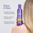 LA PUISSANCE Silver Toning Purple Shampoo - Purple Shampoo for Blonde Hair & Gray or white Hair - Neutralizes Brassiness, Adds Shine, Hydrates & Softens - Paraben-Free, For Home and Salon Use