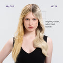 LA PUISSANCE Silver Toning Purple Shampoo - Purple Shampoo for Blonde Hair & Gray or white Hair - Neutralizes Brassiness, Adds Shine, Hydrates & Softens - Paraben-Free, For Home and Salon Use