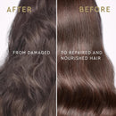 LA PUISSANCE Premium Argan Oil Conditioner - Nutrition, Anti Frizz, Hydrating, Moisturizing for Dry Hair - Sulfate Free, Frizz Control Haircare - for Home and Salon Use- 10 fl oz