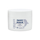 OKEANOS - Restore Reconstructor mask PACIFIC