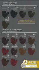 Alea Hair Color Cream Kit