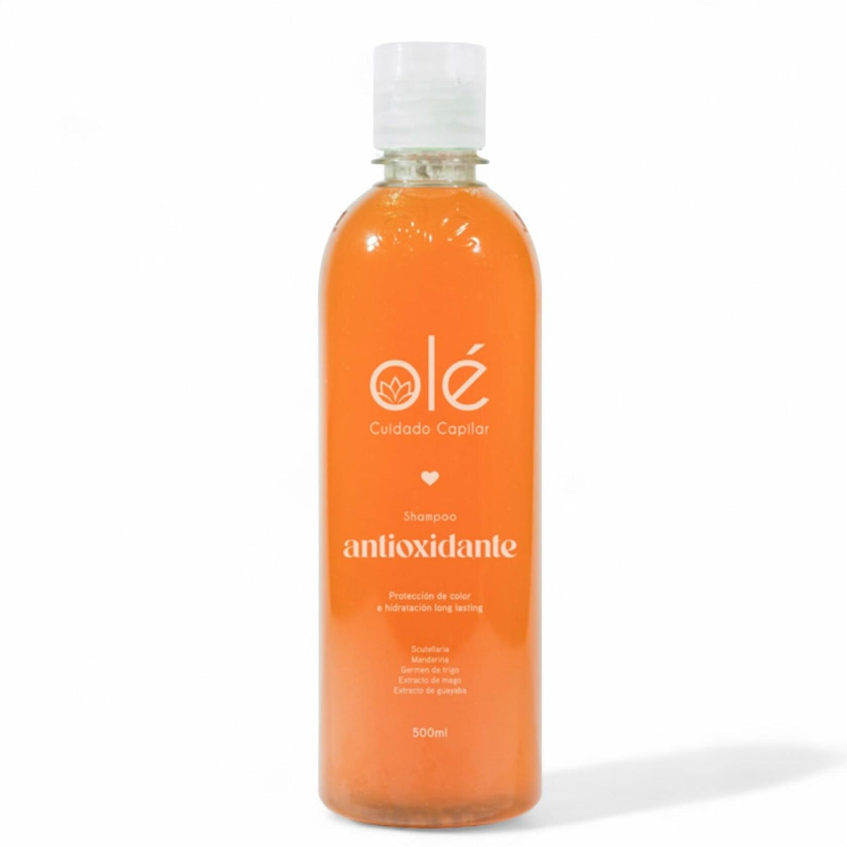 OLÉ Color-Protective Hair 5 Piece Pack - Fruit Mix Shampoo + Mango Butter & Tangerine Conditioner + Detangling Thermo protector + Anti-Frizz Anti-Humidity Spray