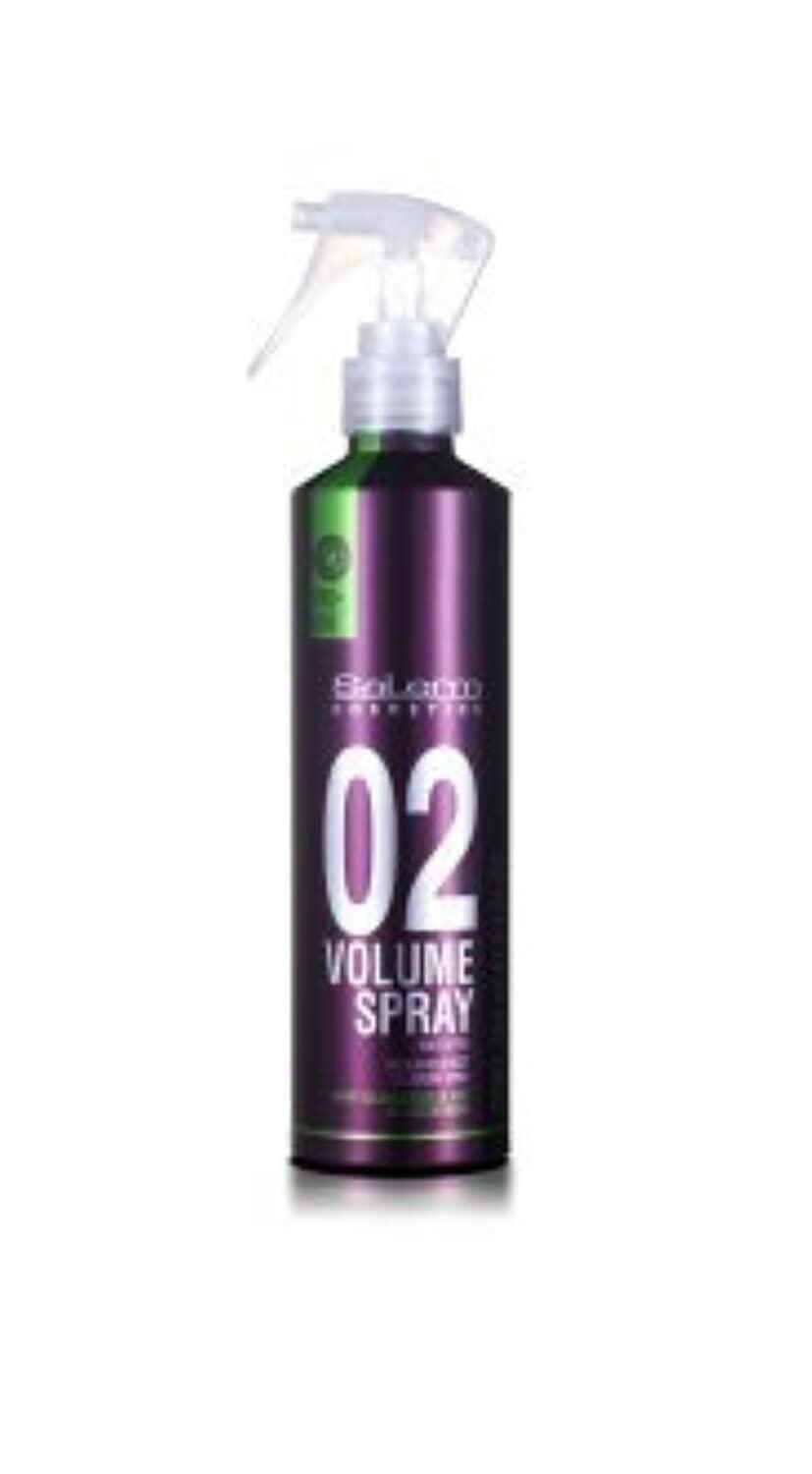 SALERM - Volumizing Hair Spray - Pro Line Volume Spray 02-250 ml - Lifts the Roots - Adds Volume to Hair without Weighing it Down - Humidity Resistant for Long-Lasting Hold - Heat Protector