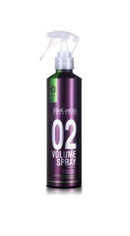 SALERM - Volumizing Hair Spray - Pro Line Volume Spray 02-250 ml - Lifts the Roots - Adds Volume to Hair without Weighing it Down - Humidity Resistant for Long-Lasting Hold - Heat Protector