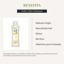 SALERM - Repair Shampoo Yellow Shot - Biokera Fresh - 300 ml - Repairs and Protects - For Shiny, Frizz-Free Hair - Sulfate-Free and Paraben-Free Shampoo