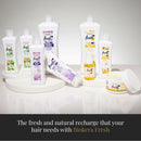 SALERM - Repair Shampoo Yellow Shot - Biokera Fresh - 300 ml - Repairs and Protects - For Shiny, Frizz-Free Hair - Sulfate-Free and Paraben-Free Shampoo