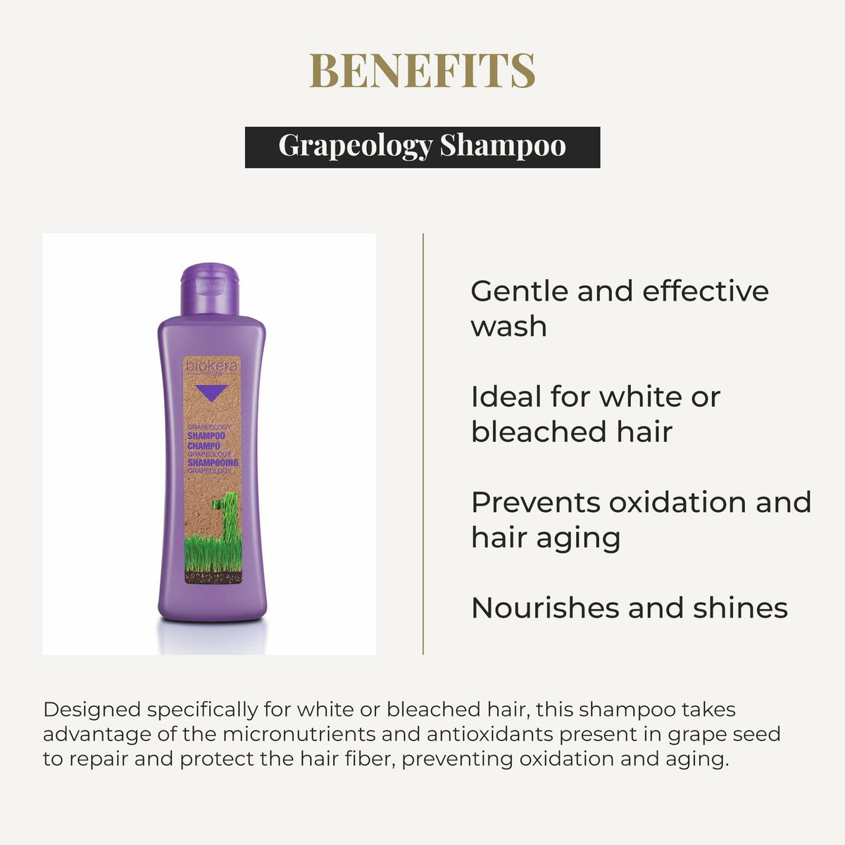SALERM - Grapeology Biokera Natura Bundle for White or Bleached Hair -  Shampoo 300 ml + Oil Serum 60 ml - With Grape Seed Oil - Nourishes and Hydrates Hair - Gentle Cleanse - Prevents Color Oxidation