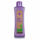 SALERM - Grapeology Biokera Natura Bundle for White or Bleached Hair -  Shampoo 300 ml + Oil Serum 60 ml - With Grape Seed Oil - Nourishes and Hydrates Hair - Gentle Cleanse - Prevents Color Oxidation