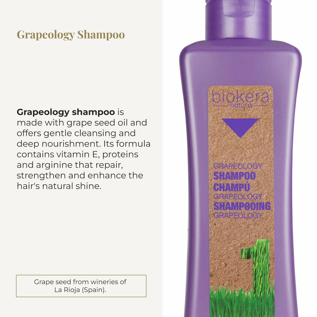 SALERM - Grapeology Biokera Natura Bundle for White or Bleached Hair -  Shampoo 300 ml + Oil Serum 60 ml - With Grape Seed Oil - Nourishes and Hydrates Hair - Gentle Cleanse - Prevents Color Oxidation