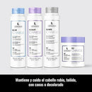 Lendan Anti-Yellow Kit with Violet Pigments, Violet Charge Shampoo 300ml + Re-Charge Mask 500ml