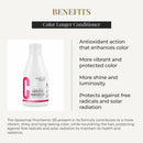 SALERM - Hair Conditioner for Coloured Hair - Color Longer Hair Lab - 300 ml - with Provitamin B5 and Vitamins A and E - Seals and Nourishes the Colour - UV Sun Protection - Sulphates and Parabens