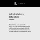 Lendan PlexForte No. 4 Hair Shampoo, 33.8 fl.oz / 1000 ml