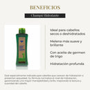 SALERM Biokera Natura Moisturizing Shampoo for Unisex, 10.8 Ounce