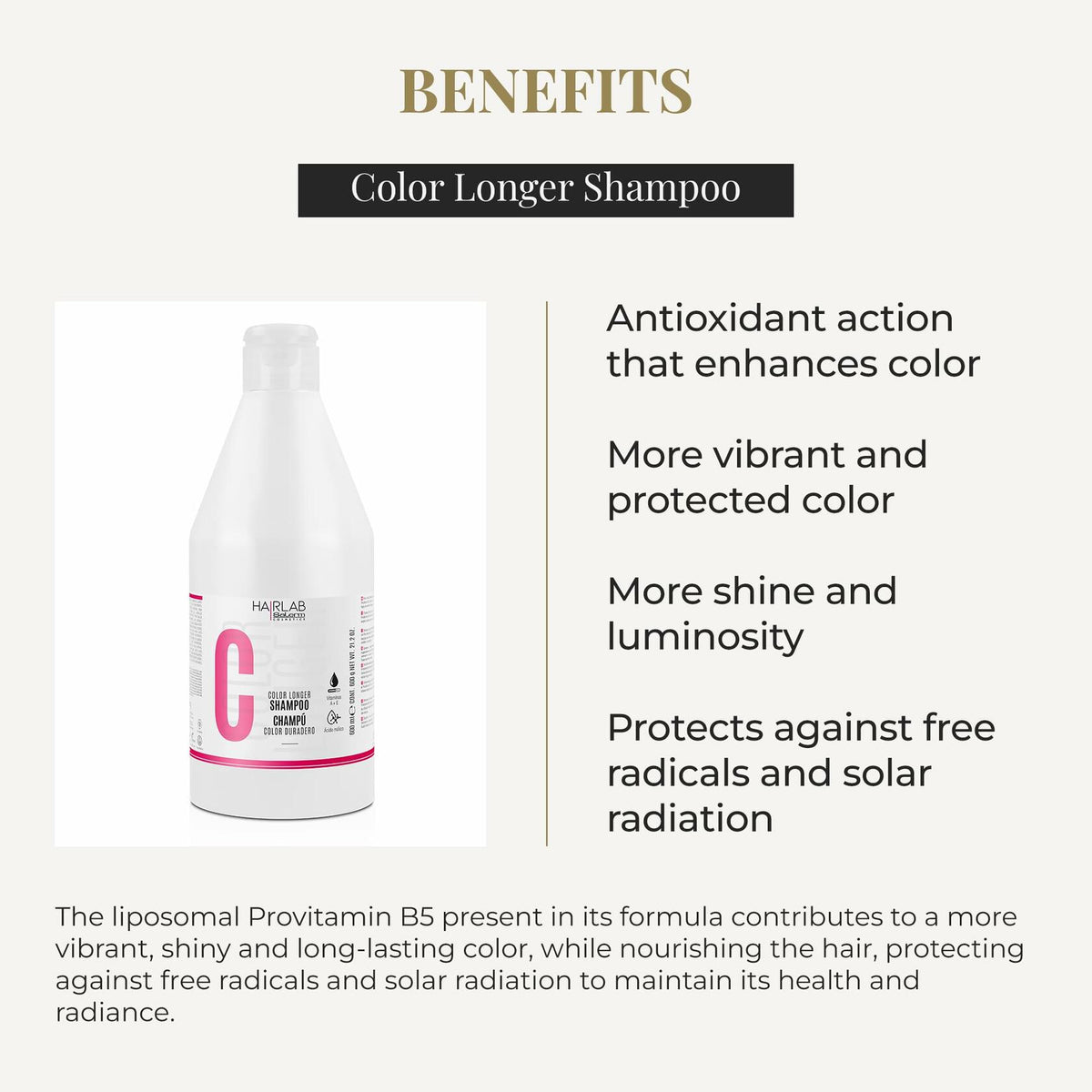 SALERM - Dyed, Bleached, or Gray Hair Shampoo - Shampoo Color Longer Hair Lab - 600 ml
