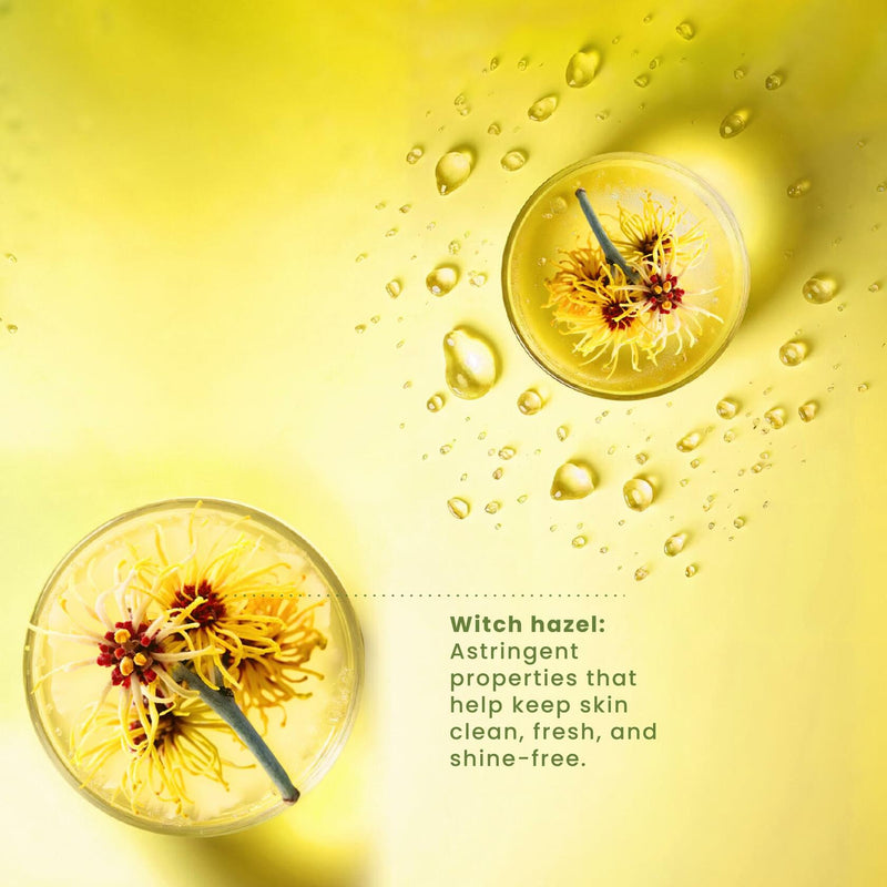 PILI Witch Hazel Facial Toner. Control Excess Oil & Shine. Natural Astringent & Facial Toner. Moisturizer for Acne Prone Skin with Refreshing Witch Hazel, Hamamelis Virginiana. 8.4 oz