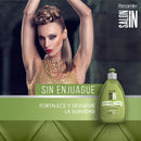 Recamier Professional Salon In +Pro Keratin Ultra Force Hair Shampoo, Conditioner and Treatment Bundle 3 Piece kit 40397 Small