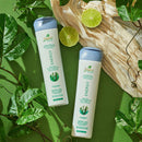 Naissant Professional Energy Hair Treatment . Hair Growth Accelerator and Strengthener