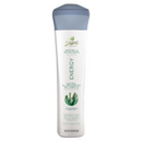 Naissant Professional Energy Hair Treatment . Hair Growth Accelerator and Strengthener